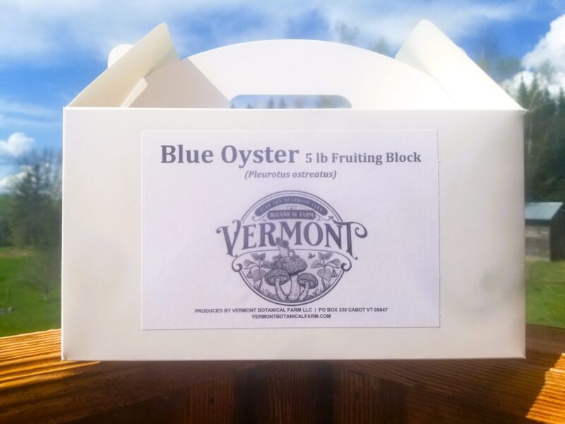 Blue Oyster Mushroom Grow Box