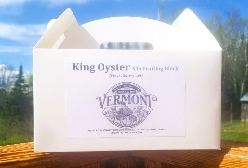 King Oyster - Grow Box - Mini Mushroom Farm