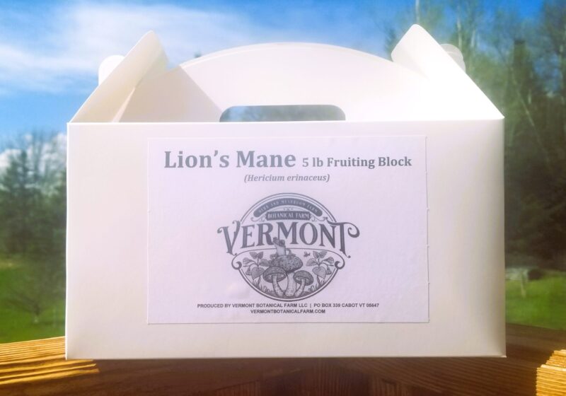 lions mane grow box