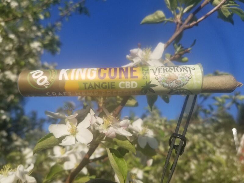 Tangie CBD - King Cone Preroll - (1.25 Grams) - Image 5