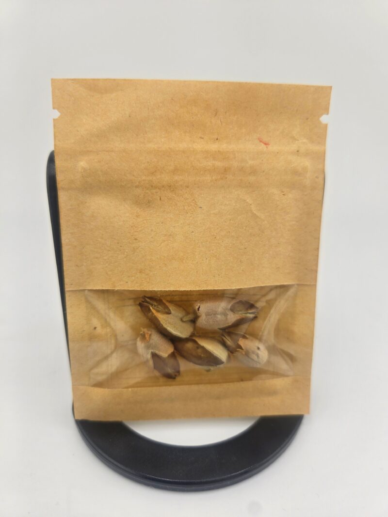 West Indies Tobacco Seeds (Ornamental)