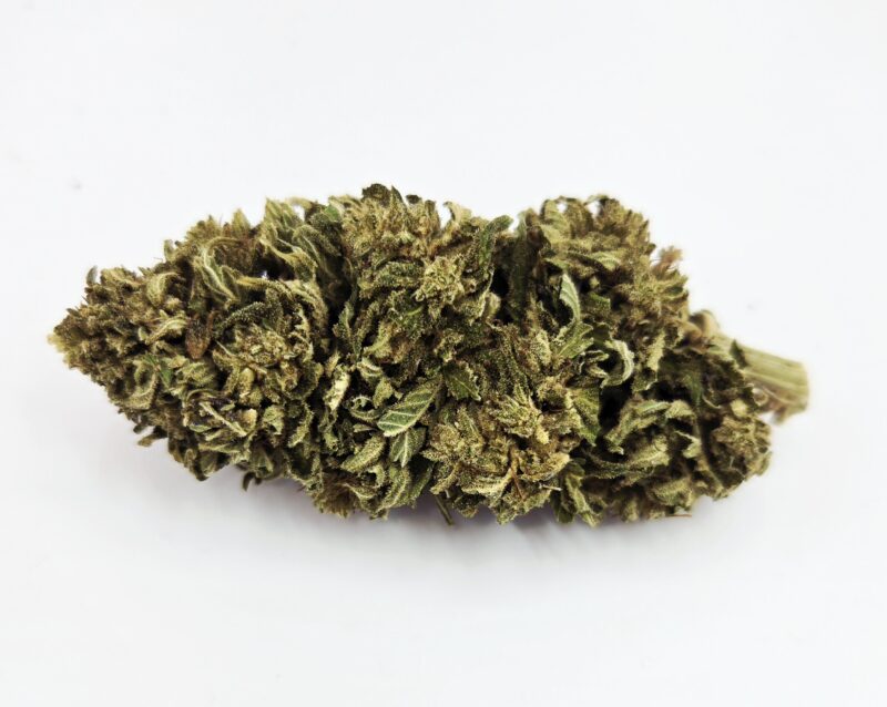 Suzy's Gift CBD hand trimmed flower