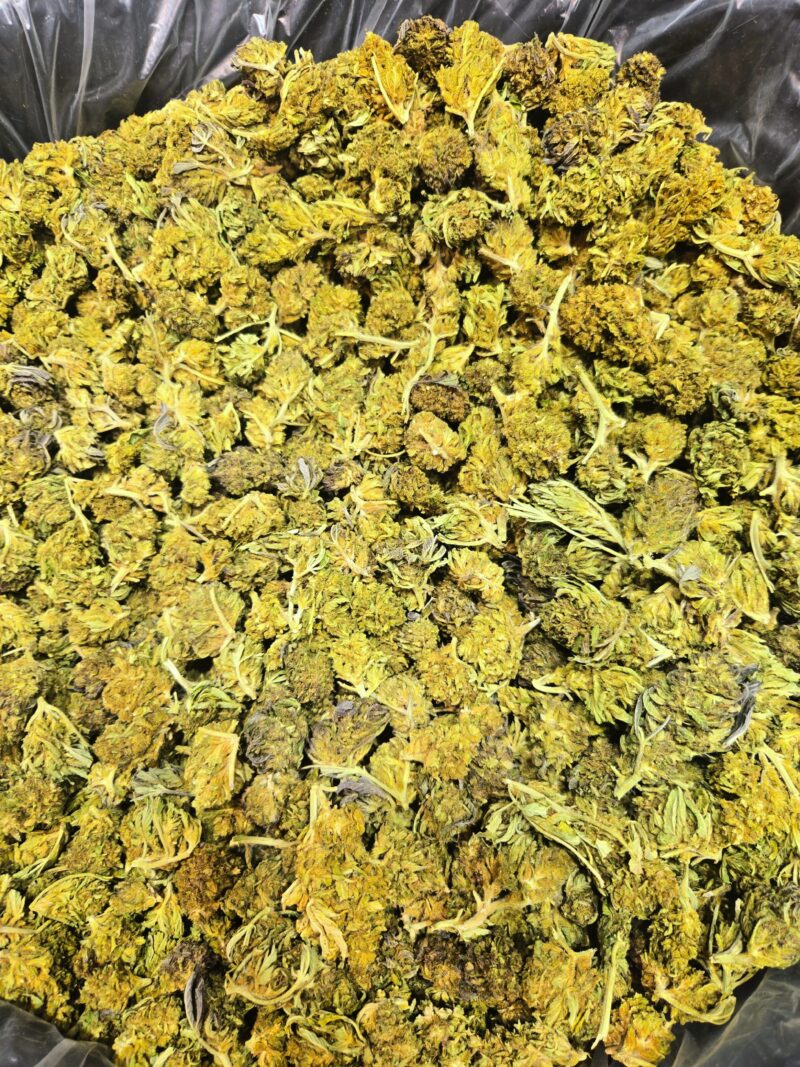 Tangie CBD - Machine Trimmed Flower - 15 lb. Increments - Bulk Wholesale - product photo 2