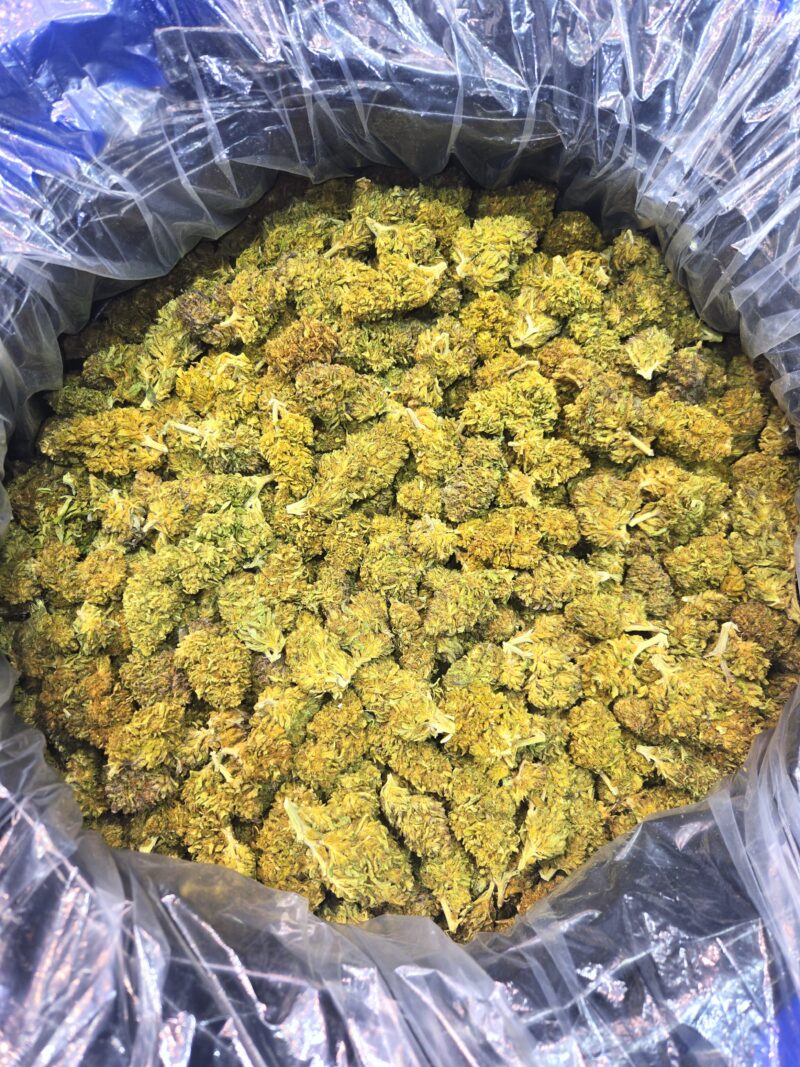 Tangie CBD - Machine Trimmed Flower - 15 lb. Increments - Bulk Wholesale - product photo 4
