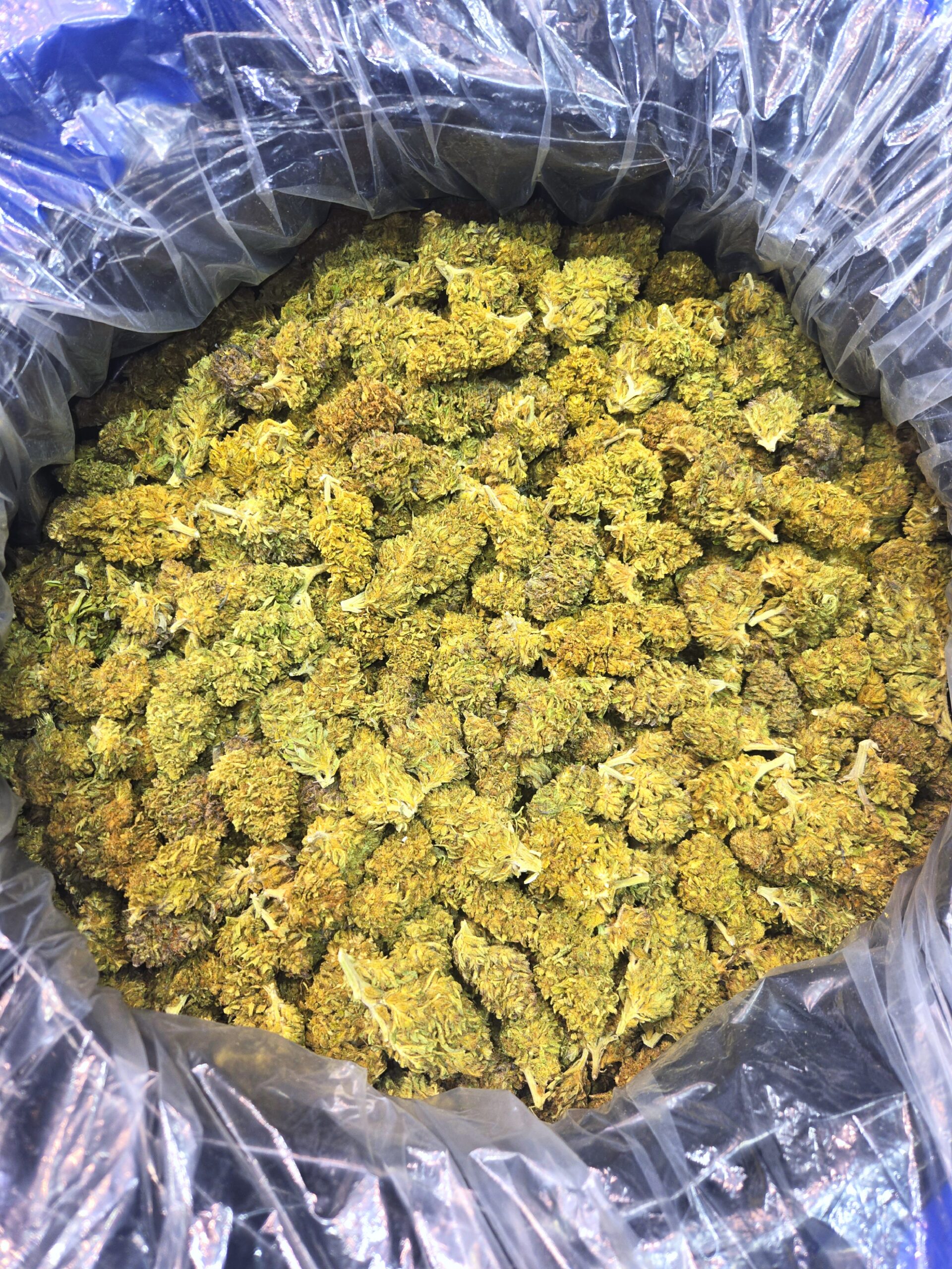 Tangie CBD - Machine Trimmed Flower - 15 lb. Increments - Bulk Wholesale - Image 4