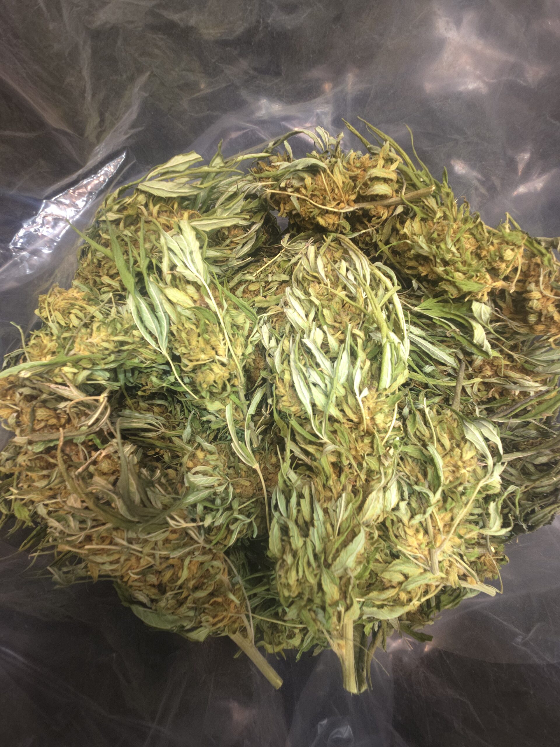Mansfield CBD - Flower Tops - Various Sizes - Image 2
