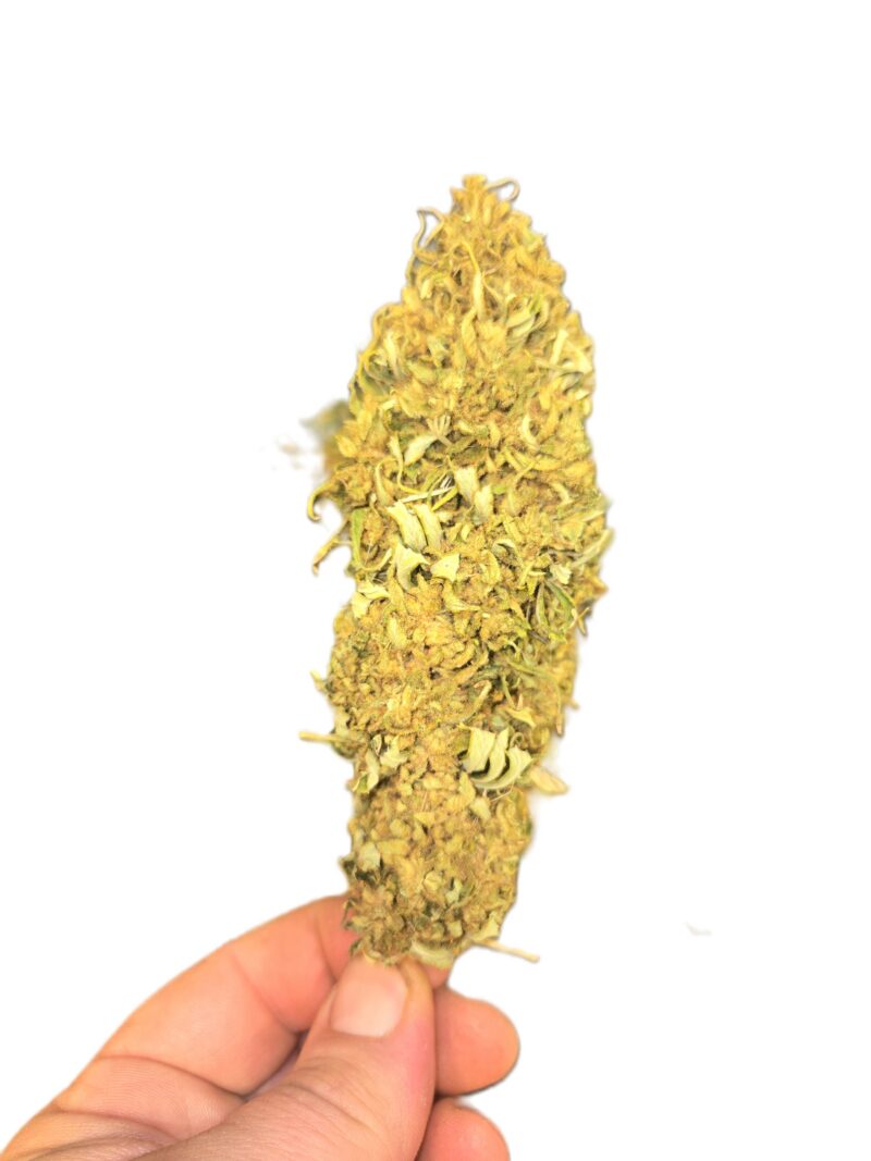 Mansfield CBD - Flower Tops - Various Sizes